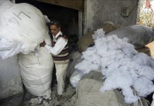 Un trabajador mete algodón en una bolsa en un taller en las afueras de Jammu, la capital invernal de la Cachemira bajo soberanía india. EFE/Archivo