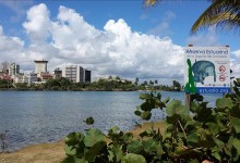Investigan amplio derrame de diesel en la reserva estuaria de Puerto Rico