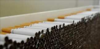 Fotografía del proceso final de la fabricación de cigarrillos. Archivo